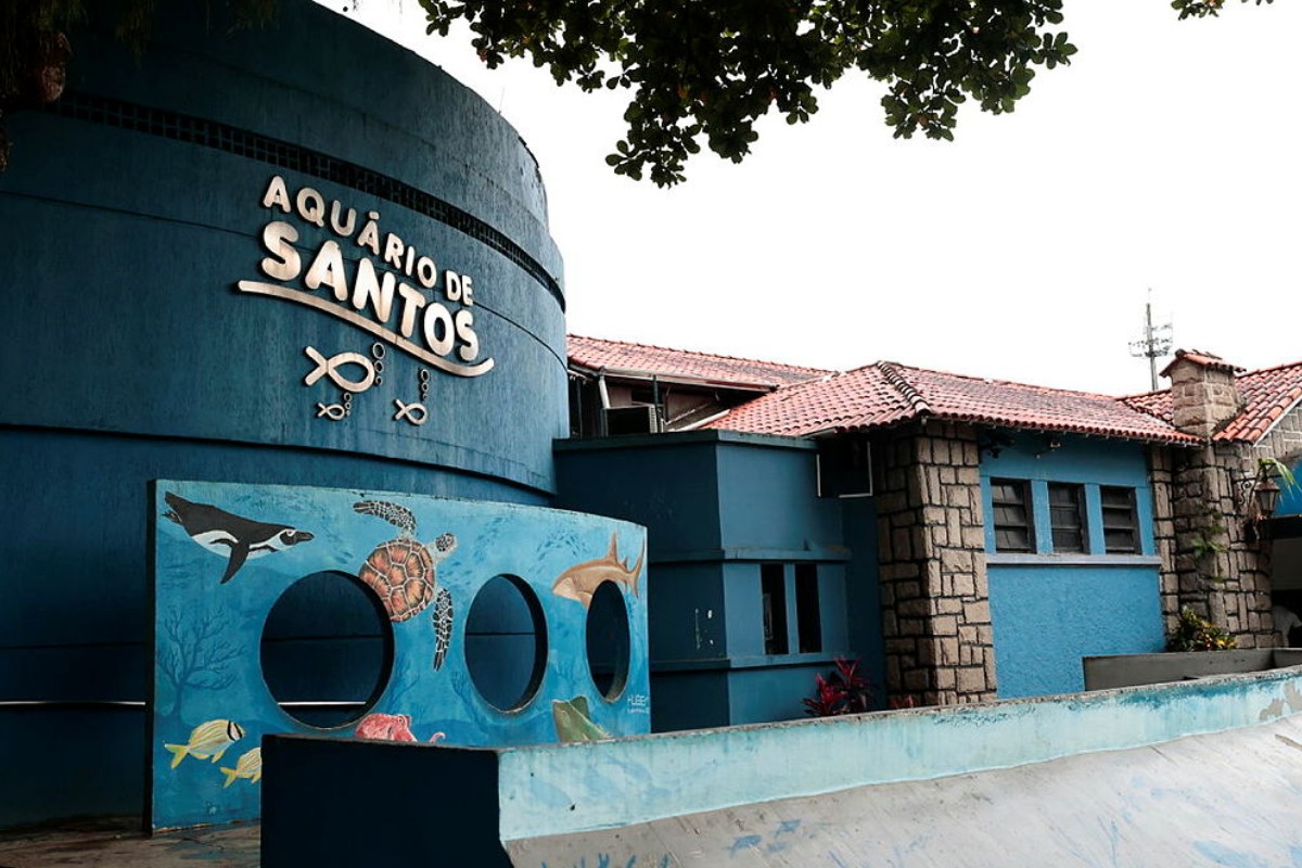 foto Not&iacute;cia Ilha Bela