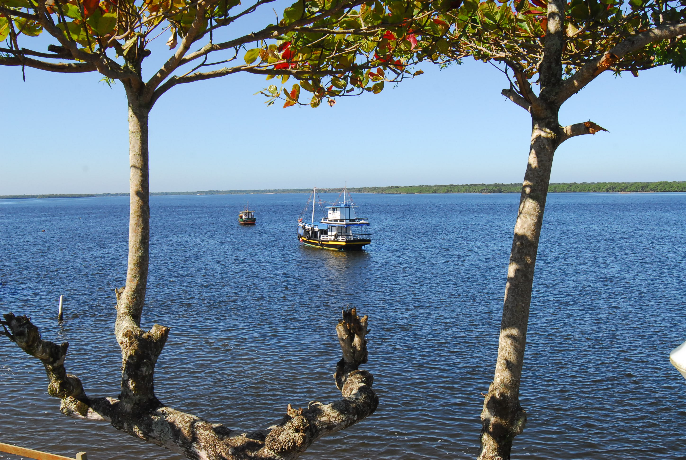 foto Not&iacute;cia Ilha Bela
